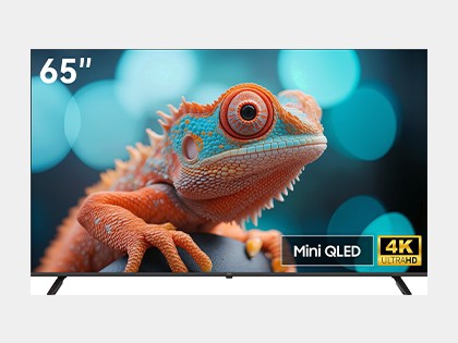NPC-MiniLED 65M1
